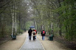 Passeggiata tra gli alberi del parco Tiergarten a Berlino - © KN / Shutterstock.com