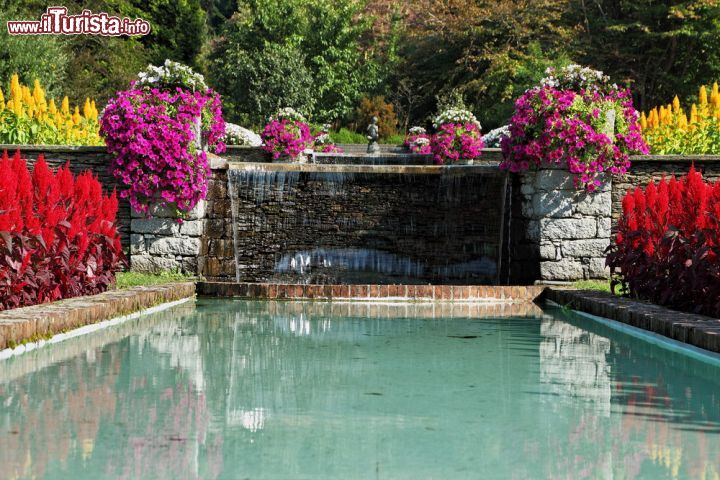Immagine Una magnifica fioritura all'interno dei giardini di VIlla Taranto in Piemonte - © kavram / Shutterstock.com