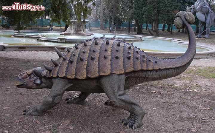 Immagine Il giardino del percorso denominato Draghi, Dinosauri e Animali Estinti al Parco degli Alberi Parlanti di Treviso - © Gruppo Alcuni