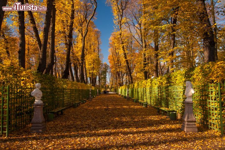 Immagine I colori dell'Autunno nel Giardino d'Estate a San Pietroburgo in Russia - © Alexander Mak / Shutterstock.com