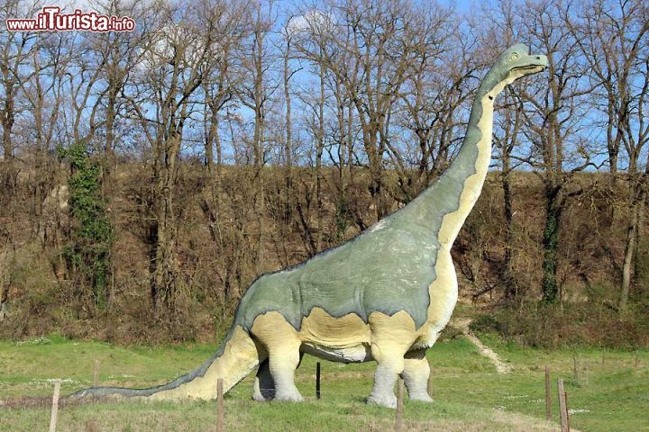 Immagine Il Camarasauro è uno tra i dinosauri più studiati, grazie ai numerosi ritrovamenti. Poteva raggiungere i 18 metri di lunghezza. Eccolo al Parco dei Dinosauri di Matelica - © www.lepietredeldrago.it