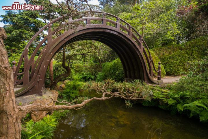 Immagine Moon bridge il ponte in legno nel giardino da the giapponese al Golden Gate Park a San Francisco, California.
 - © TaraPatta / Shutterstock.com
