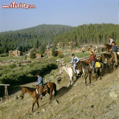 Wyoming: cavalli per un escursione intorno al ranch. Credit: The Wagner Perspective