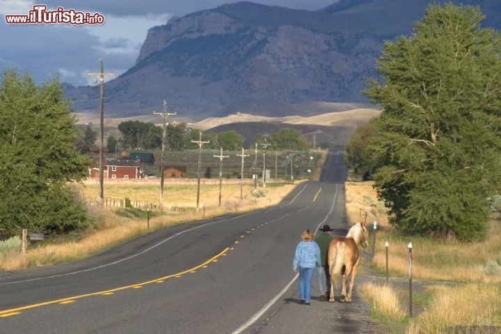 Cavallo lungo una highway del Wyoming. Credit: www.markgocke.com