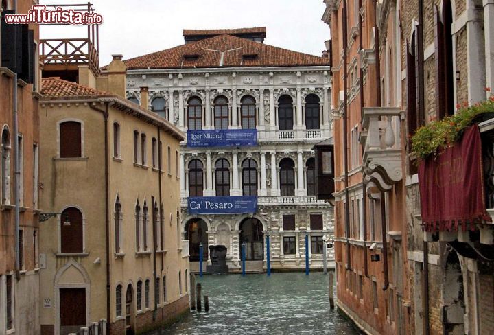 Immagine Uno scorcio dei Canali di Venezia e il museo di Cà Pesaro che s'affaccia sul Canal Grande - © RicciSpeziari~commonswiki - CC BY-SA 3.0 - Wikipedia
