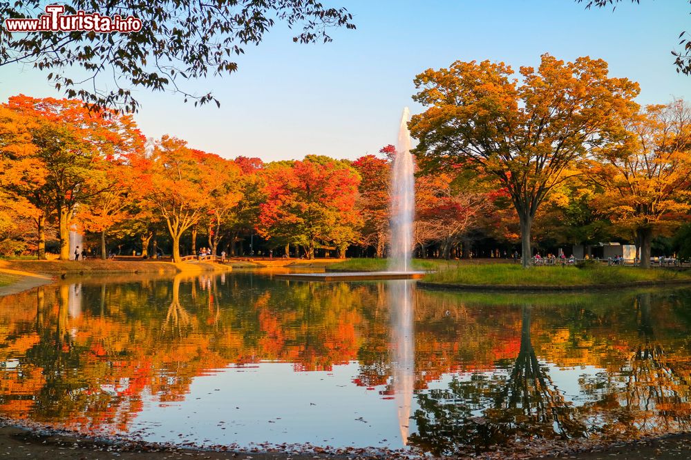 Immagine Giochi d'acqua e poesia d'autunno al parco Yoyogi di Tokyo