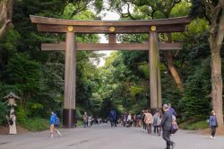 Il portale di accesso al santuario Meiji di Tokyo: siamo nel parco Yoyogi e il tempio è dedicato al 122° imperatore e sua consorte - © Peerapong W.Aussawa / Shutterstock.com