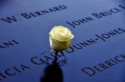 Una rosa tra i nomi delle vittime dell'attentato dell 11 settembre 2001 a New York City - © LEE SNIDER PHOTO IMAGES / Shutterstock.com