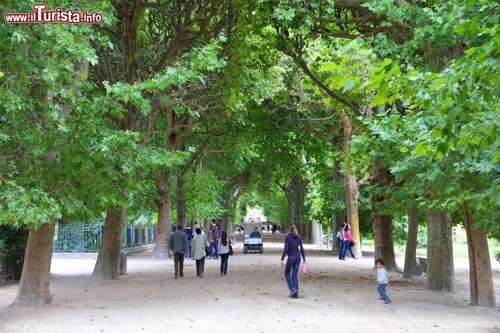 Immagine Turisti in visita al Giardino delle Piant in centro a Parigi  - © Tupungato / Shutterstock.com