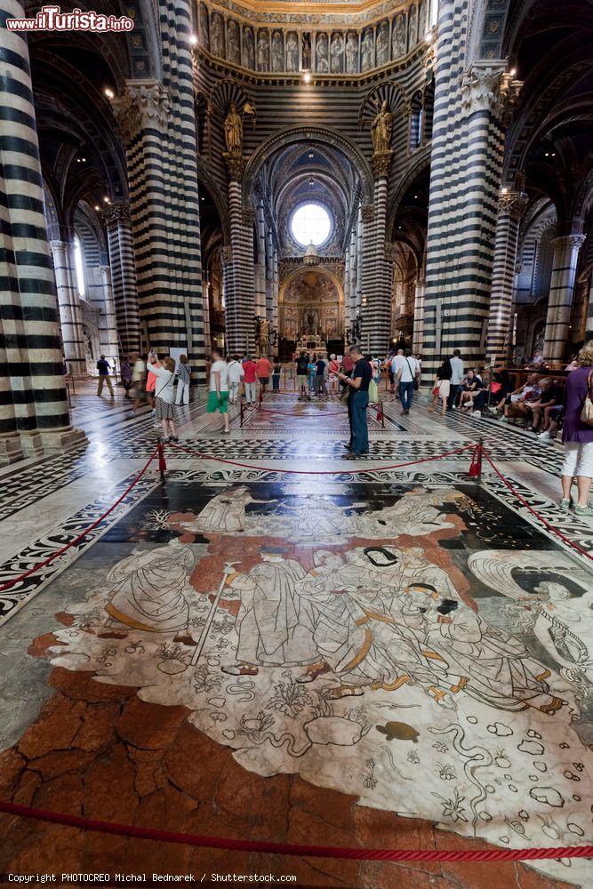 Immagine Il meraviglioso pavimento della Cattedrale di Siena - © PHOTOCREO Michal Bednarek / Shutterstock.com