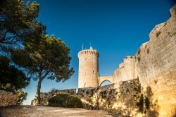 La grande torre del Castello di Bellver, isola ...