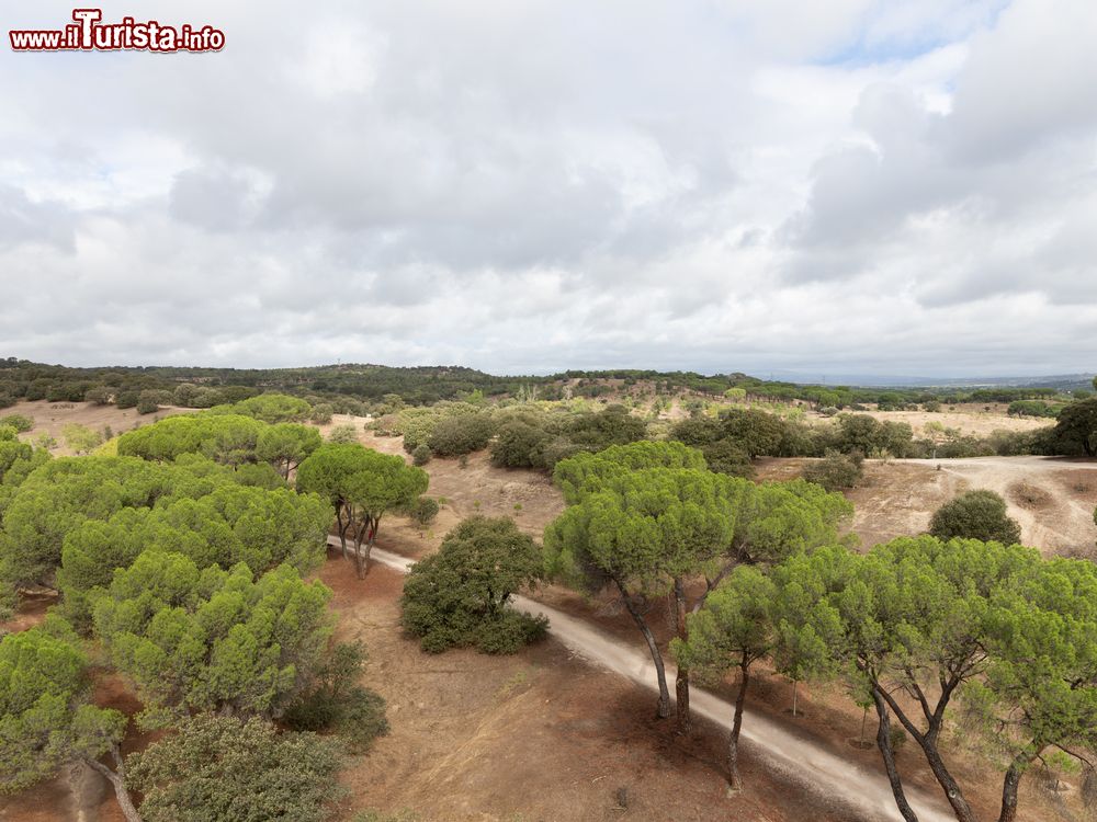 Immagine Il vasto paesaggio del parco Casa de Campo a Madrid