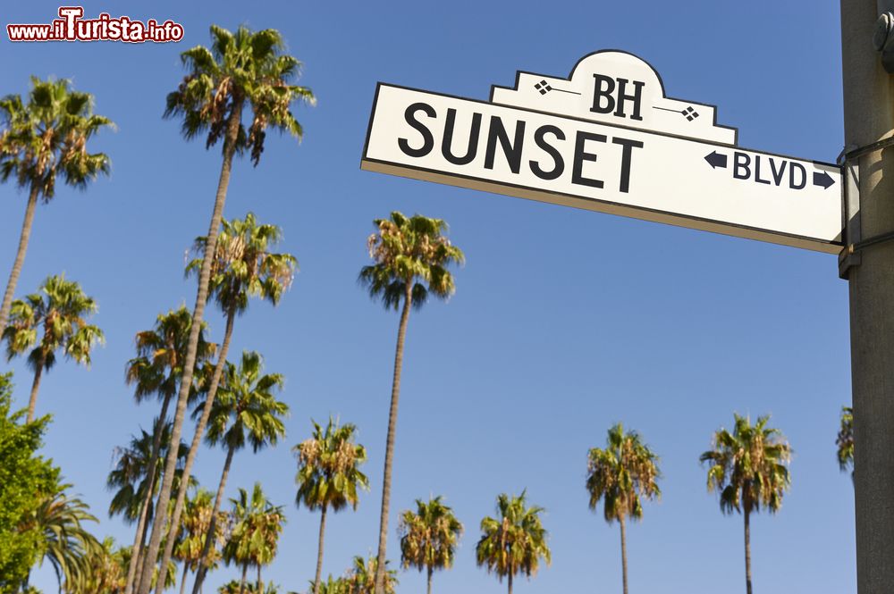 Immagine L'iconico segnale stradale del Sunset Boulevard con le palme di Los Angeles sullo sfondo.
