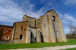 Panorama dell'abbazia di San Galgano, Siena, Toscana. In rovina e ridotta alle sole mura, la chiesa è dedicata a San Galgano, cavaliere medievale e santo che scelse la vita da eremita. ...