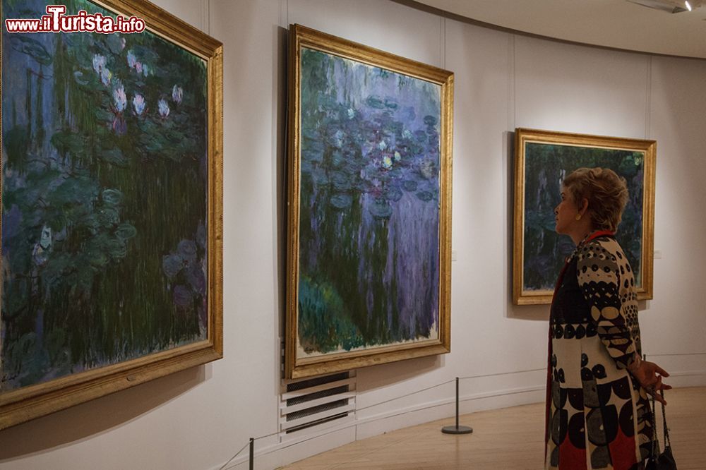 Immagine I Quadri di Monet esposti al museo Marmottan di Parigi - © Ministério da Cultura - CC BY 2.0, Wikipedia