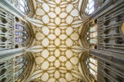 Il soffitto e le vetrate della Cattedrale di York (Cathedral and Metropolitical Church of St.Peter) - © Cynthia Liang / Shutterstock.com