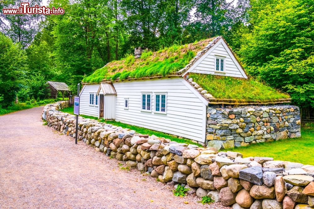 Immagine Una tradizionale fattoria riassemblata al Norsk Folkemuseum di Oslo, Norvegia. E' solo una delle tante fattorie con il tipico tetto in torba che si possono ammirare passeggiando per i sentieri di questo museo open air.