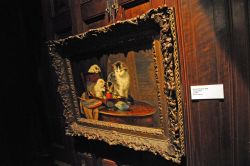 Un particolare della collezione di dipinti al Museo dei Gatti di Amsterdam, in Olanda © Andrea Mazza
