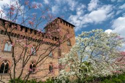 Uno scorcio del castello Visconteo di Pavia in primavera (Lombardia) con le piante fiorite.
La sua costruzione risale al 1360 ad opera di Galeazzo II° Visconteo.
