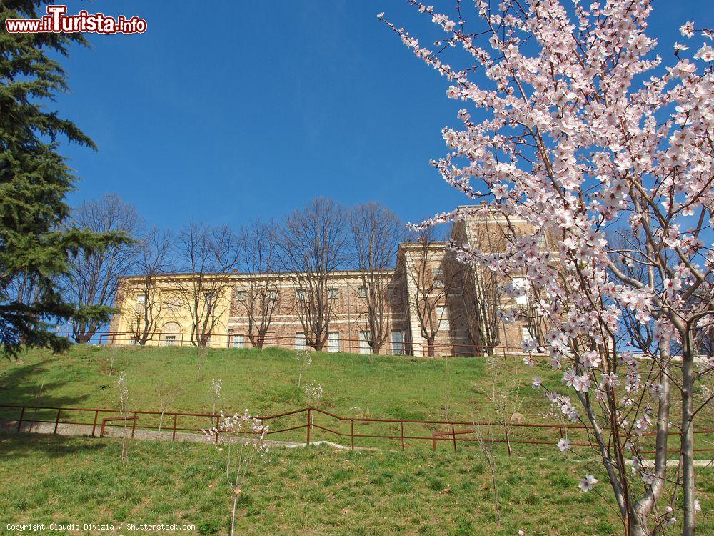 Immagine Primavera al Castello di Rivoli in Piemonte, provincia di Torino - © Claudio Divizia / Shutterstock.com