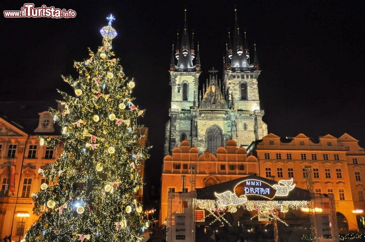 Albero di Natale a Praga, nella Piazza della Città Vecchia