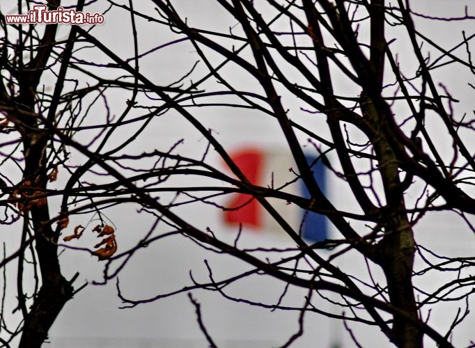 Il tricolore francese tra i rami spogli di foglie. nel grigio dell'inverno i tre colori della eguaglianza, libert e fraternit accendono il cielo di Parigi