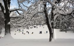 Cedar Hill, una delle colline di Central Park dove la neve diventa puro divertimento per i visitatori e cittadini di New York City - © John A. Anderson / Shutterstock.com
