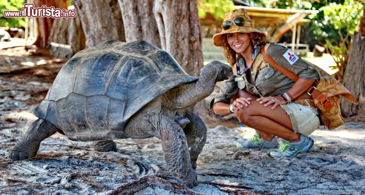 Donnavventura incontra le tartarughe giganti delle Seychelles  - copyright Donnavventura