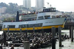 Crociera della Baia di San Francisco con i battelli Blue & Gold Fleet