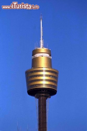 Sydney Tower Australia - I turisti vengono imbragati e legati a dei cavi di sicurezza, in modo da non rischiare nulla e godersi la vertigine in perfetta sicurezza, a 268 metri di altezza sulla città.
