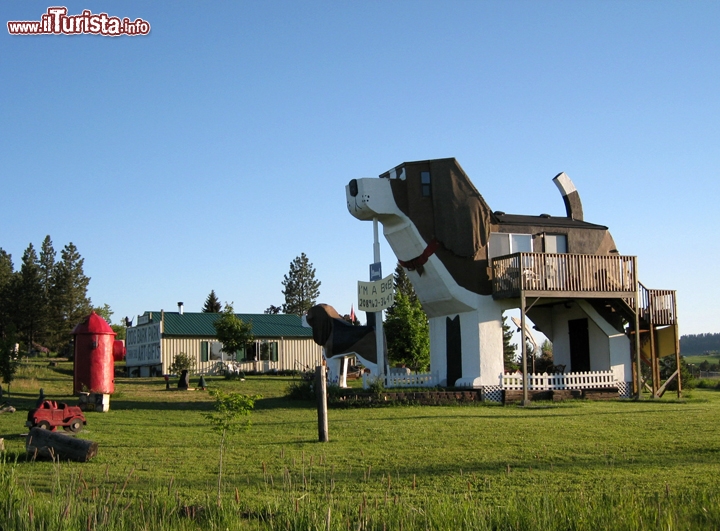 Albergo Dog Bark Park Inn Cottonwood Idaho - L'hotel può ospitare 4 persone, due nell'appartamento ricavato nella "pancia"  del bragle, mentre le altre possono salire sul Loft che si trova nella testa del grande cane. Il prezzo per una notte per due persone è di 92 dollari, ed include la colazione. All'interno è ricavato il bagno con doccia, e sono disponibili forno a microonde, asciuga capelli, frigorifero. Non c'è il telefono e non c'è la televisione. Sito www.dogbarkparkinn.com