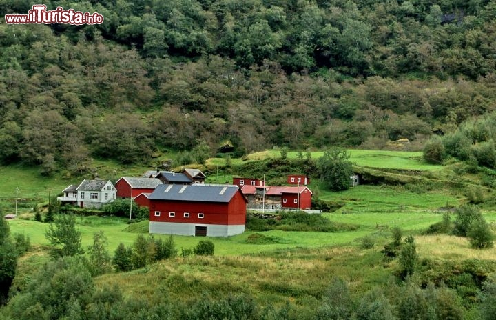 Tipiche fattorie norvegesi lungo la Flamsbana, in un tripudio di colori