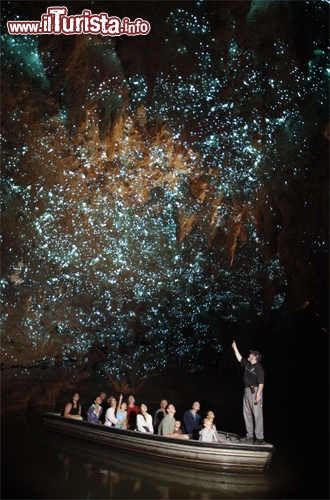 Waitomo Glow Worm Cave, Nuova Zelanda - Per far brillare una grotta non è sempre necessario il sole: alla Waitoomo Glowworm Cave basta una popolazione di insetti scintillanti. I “glow worms” (letteralmente “vermi luminosi”) se ne stanno appesi alle pareti e al soffitto della grotta Neozelandese, simili a tanti vermicelli, ma non potranno disgustarvi: contro le pareti di roccia scura creano un effetto molto suggestivo, che ricorda un cielo stellato. In pratica delle lucciole che non volano, e che hanno una luce fissa. Merito della bioluminescenza, fenomeno chimico che avviene nelle loro code e che ha fatto della Waitoomo Glowworm Cave una delle attrazioni più amate della Nuova Zelanda. Completano l’opera le formazioni calcaree spettacolari e la grandiosa Cathedral Cavern, dall’acustica impressionante: avrà pur 30 milioni di anni sul groppone, ma la Waitoomo Glowworm Cave fa ancora una splendida figura. Foto cortesia: www.waitomo.com