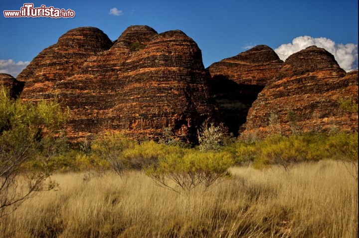 Trekking in western Australia lungo i Bungle Bungle. La passeggiata dei Dome Walks è uno dei sentieri più semplici, e consente di vedere da vicino le particolari erosioni dei "Cone Karst" con le stratificazioni bi-colore