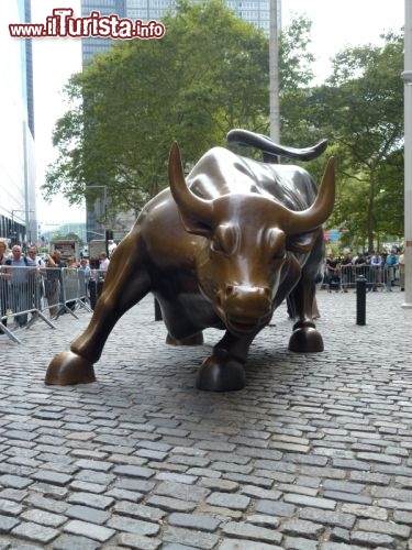 Immagine Toro davanti new york stock exchange