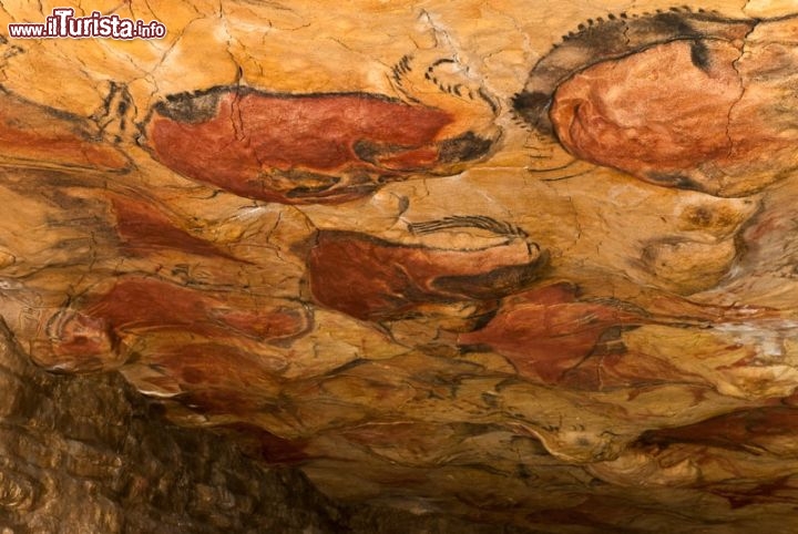 Immagine Sala de Policromos nella Cueva de Altamira