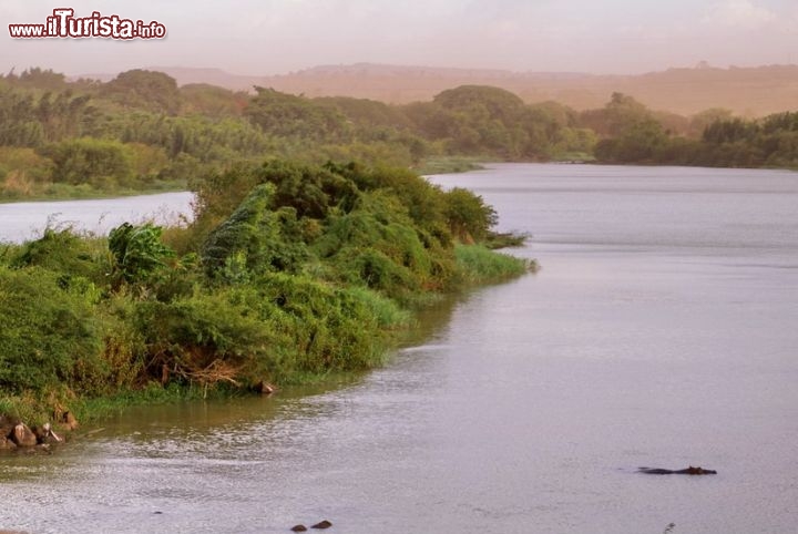 Ippopotamo nelle acque del Nilo Azzurro Etiopia, siamo vicino al lago Tana - In Etiopia con i Viaggi di Maurizio Levi