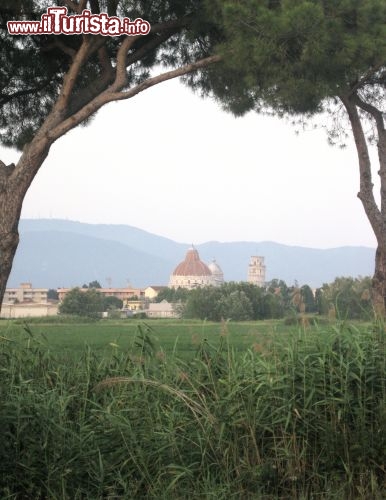 Immagine Vista della Torre, del Duomo e del Battistero dalla campagna circostante a Pisa