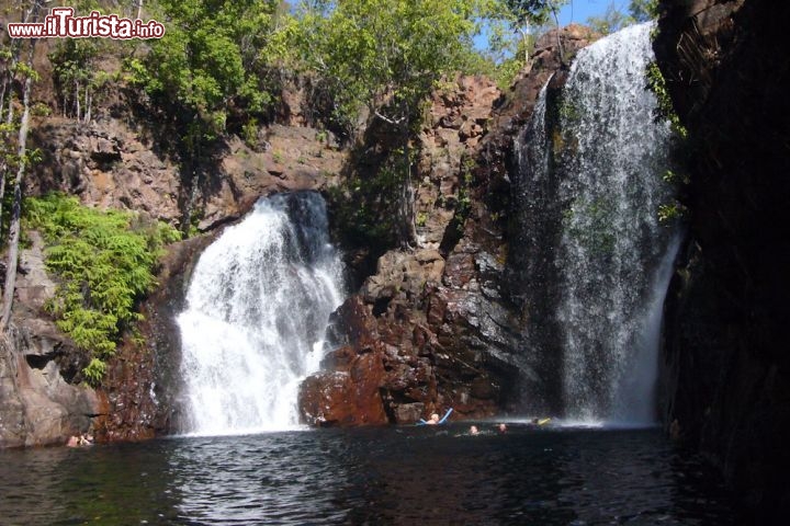 Litchfield National Park Florence Falls Australia - Florence Falls è una cascata idilliaca e una piscina perfetta per il nuoto. Vi si accede tramite una scala nella valle e lungo un percorso ben attrezzato attraverso la piccola foresta monsonica. 