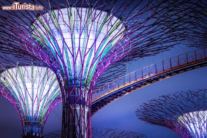 Immagine Supertrees a Gardens by the bay Singapore