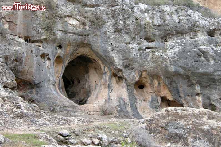 Luoghi dell'evoluzione umana a Mount Carmel: The Nahal Me'arot / Wadi el-Mughara Caves – Israele
Le grotte di Mount Carmel, in Israele, racchiudono una testimonianza eccezionale di oltre 500.000 anni di storia dell'evoluzione umana; situate nel versante occidentale dell'omonima catena montuosa, includono i siti di Jamal, Skhul, el-Wad e Tabun disposti in un'area complessiva di cinquantaquattro ettari. Le grotte nei pressi di Mearot sono le più facilmente accessibili, mentre le più conosciute sono probabilmente quelle di Tabun, dove sono stati rinvenuti resti di Homo Sapiens e Uomo di Neanderthal; questa scoperta appare eccezionale in quanto ad oggi risulta essere l'unico luogo al mondo in cui i rappresentanti dei due diversi rami dell'evoluzione umana potrebbero essersi incontrati.
Le sepolture, l'architettura e gli utensili rinvenuti dimostrerebbero l'esistenza delle due specie nel Paleolitico Medio, rendendo così il luogo un autentico archivio di preziose informazioni sulla preistoria nonché sulle condizioni della vita umana nel sud-ovest asiatico.

Foto: © UNESCO /  © R. Liberty-Shalev, Skhul Cave 