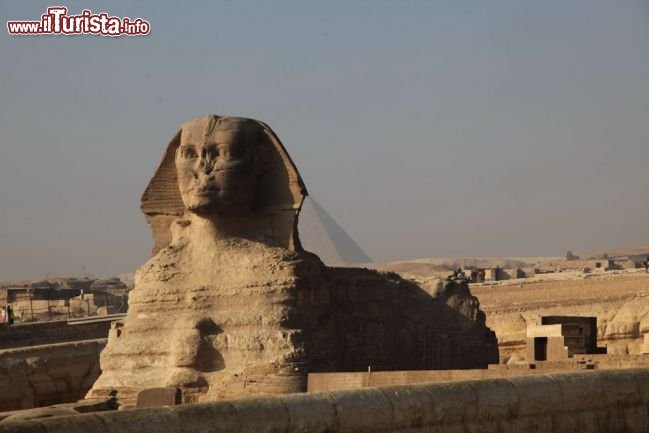 Immagine Sfinge di Giza
DONNAVVENTURA 2010 - Tutti i diritti riservati - All rights reserved