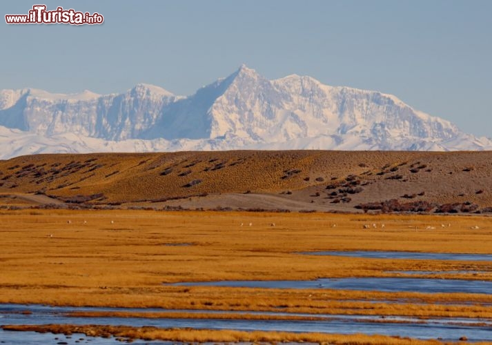 Un panorama mozza fiato della steppa patagonica, sullo sfondo le cime delle Ande innevate - © DONNAVVENTURA® 2012 - Tutti i diritti riservati - All rights reserved