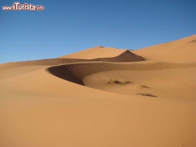Le linee morbide delle dune di sabbia Merzouga, il famoso Erg Chebbi - Foto di Mara Agostini