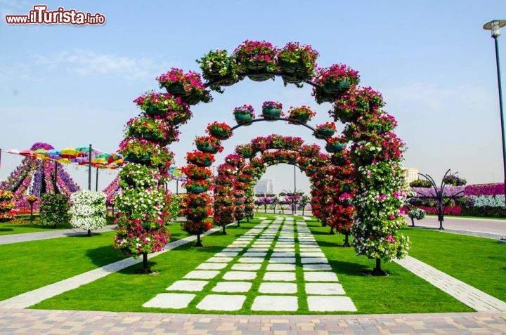 oltre 45 milioni di fiori, tra cui tantissime vaietà di petunie, fiori marigold e fiori di calendula, accolgono i visitatori del Dubai Miracle Garden - © www.dubaimiraclegarden.com