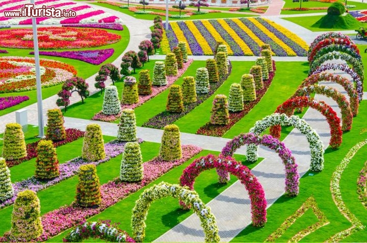 Il giardino fiorito di Dubai non è perenne: per via delle elevate temperature estive, che renderebbero inoltre faticosa la visita, il Miracle Garden viene chiuso da maggio a ottobre - © www.the-miracle-garden.com