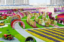 Il sito del Dubai Miracle Garden verra completato ...