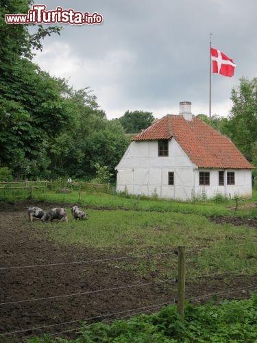 Immagine Danimarca, isola di Fionia: l'esterno del villaggio ricostruito di Den Fynske Lansdby un'attrazione per celebrerare le tradizioni agresti danesi