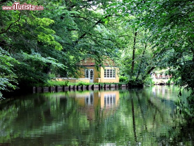 Immagine Riflessi poetici nel parco del fiume a Odense