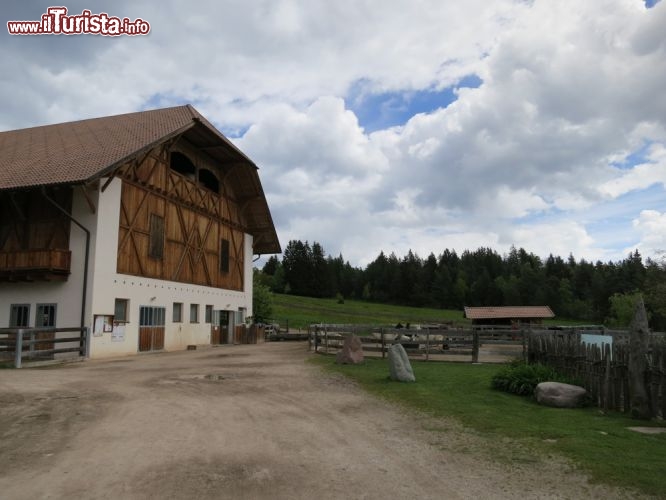 Immagine Sopra Bolzano si trova il Maso Kaserhof, ubicato nella località di Oberbozen